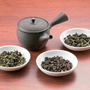 高級烏龍茶飲み比べセット (常滑焼急須・茶葉3種セット) 0-268