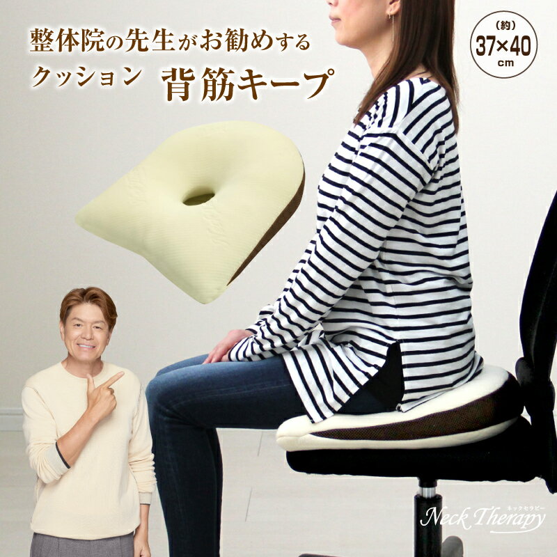 整体院の先生がお勧めする クッション 背筋キープ 約37×40cm 低反発ウレタンチップ ネックセラピー 背..