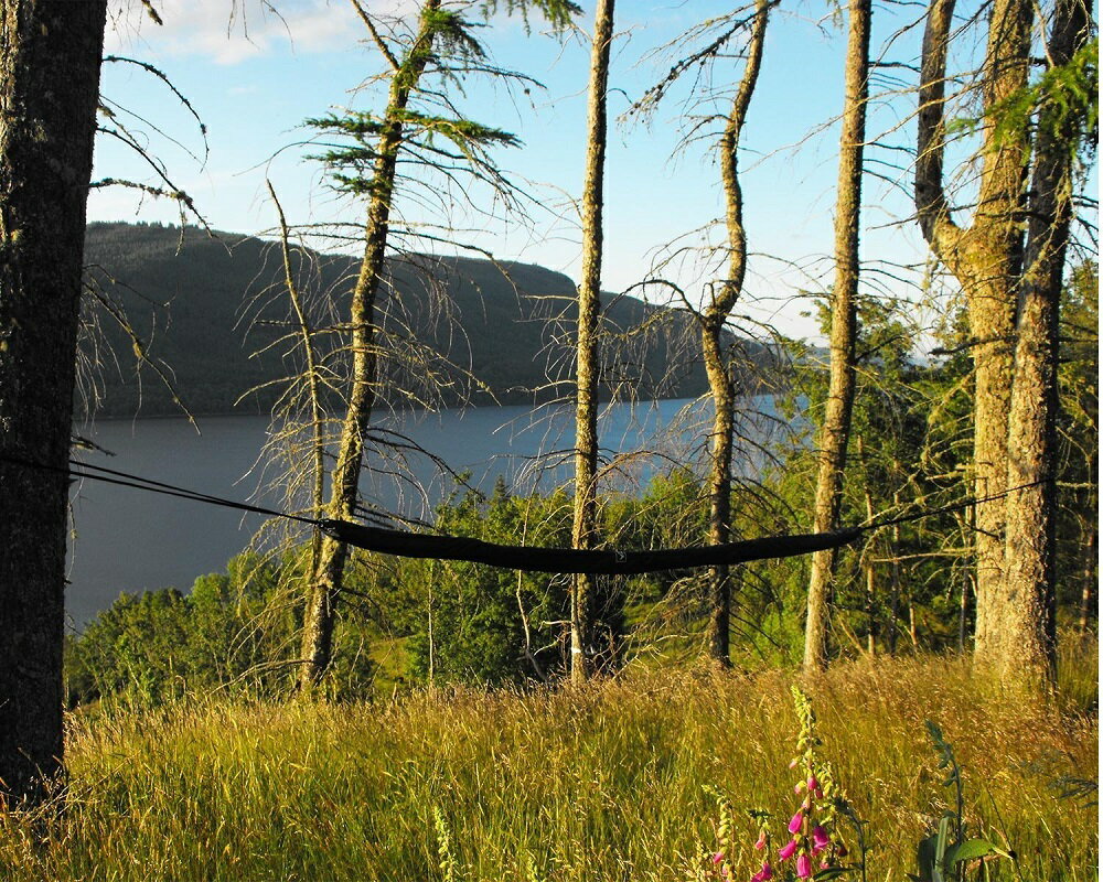 DDハンモック DD Hammock Sleeve ハンモックスリーブ メーカー直輸入 ハンモック用アクセサリー 防水カバー 送料無料通販格安セール情報 楽天 通販