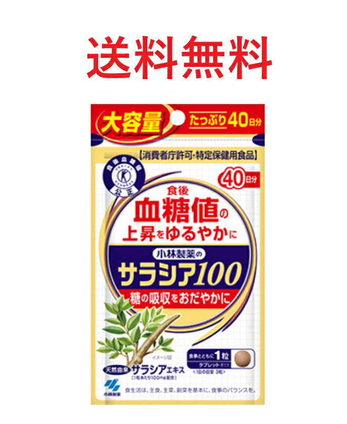 小林製薬のサラシア100 大容量 40日分(120粒) 4987072091791 送料無料 血糖値の上昇をゆるやかに　糖の吸収を　おだやかに　さらしあ