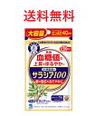 小林製薬のサラシア100 大容量 40日分(120粒) 4987072091791 送料無料 血糖値の上昇をゆるやかに　糖の吸収をおだやかに