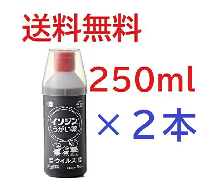 2本セット【第3類医薬品】イソジンうがい薬 250mL 2本4987087041842-2★送料無料