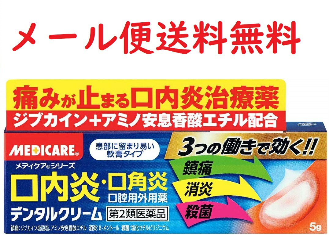 【第2類医薬品】デンタルクリーム 5g★4987227029020★口内炎・口角炎★メール便送料無料のサムネイル
