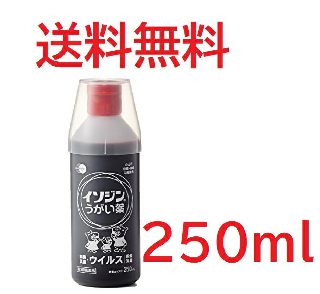 在庫あり【第3類医薬品】イソジンうがい薬 250mL 4987087041842★送料無料 在庫限り