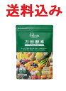 万田酵素 スタンダード ペースト 分包タイプ 2.5g×31包 4909882100302 メール便送料無料 STANDARD