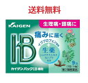 【指定第2類医薬品】カイゲン パックIB 顆粒 9包 4987040051758 生理痛 頭痛薬★定形外郵便送料無料