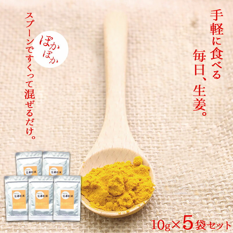 ＜生姜粉末10g×5袋＞ 送料無料 宮崎県産生姜100％使用！温活に！しょうがであったまろー。原材料はショウガのみ！ショウガ本来の風味！ 生姜 しょうが粉末 ショウガ粉末 ショウガ おんかつ