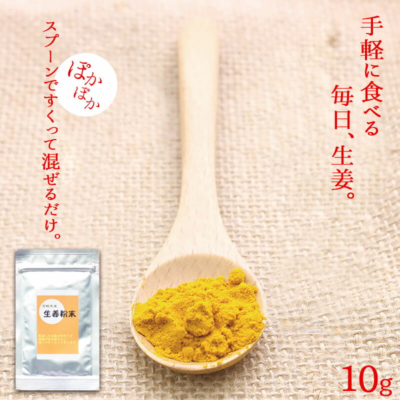 ＜生姜粉末10g＞ 送料別 宮崎県産生姜100％使用！温活に！しょうがであったまろー。原材料はショウガのみ！ショウガ本来の風味！ 生姜 しょうが粉末 ショウガ粉末 ショウガ おんかつ