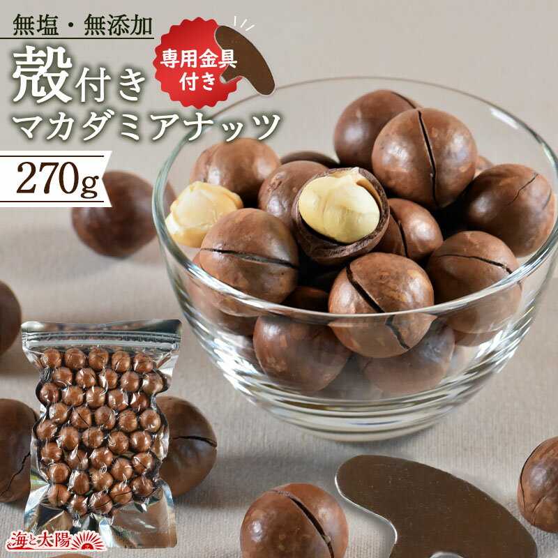 ＜殻付きマカダミアナッツ270g＋割り金具付＞ 無塩 無添加 開けたての香ばしさ！コーヒーや洋酒とともに贅沢な時間を マカデミアナッツ からつき おやつ おつまみ 酒の肴 家飲み ダイエット お菓子作り 製菓材料 送料無料 メール便 チャック袋 海と太陽