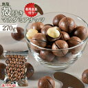 株式会社ヤミー・フードラボ 殻付きマカダミアナッツ270g+割り金具付