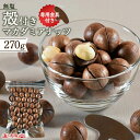 ＜殻付きマカダミアナッツ270g＋割り金具付＞ 無塩 無添加 開けたての香ばしさ！コーヒーや洋酒とともに贅沢な時間を マカデミアナッツ からつき おやつ おつまみ 酒の肴 家飲み ダイエット お菓子作り 製菓材料 送料無料 メール便 チャック袋 海と太陽