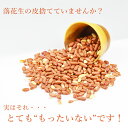 ★クーポンで15％OFF★＜皮つき・素焼き落花生500g＞ ピーナッツ 皮付き ポリフェノール オレイン酸 送料無料 メール便 海と太陽 常温保存 フードロス 食品ロス 2