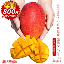 【早割★クーポン利用で800円オフ】合計1kg以上!【受付後、収穫が出来次第順次出荷】この味!姿!古谷農園さんの裏切らない宮崎完熟マンゴー<【赤秀】超特大(4L...