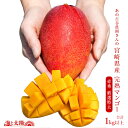 【期間限定★クーポンで300円オフ】合計1kg以上!この味!姿!古谷農園さんの裏切らない宮崎完熟マンゴー<【赤秀】超特大(4L)×2玉or大玉(2L)×3玉(合計1kg以上)>クール便 送料無料 ギフト 贈答 父の日 お中元 御中元【6月中旬以降順次出荷予定】