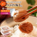 【SALE★通常4,480円⇒2,950円】選べる!紀州南高梅つぶれ梅2種 1kg 送料無料 国産 訳あり うめ ウメ 梅干し はちみつ しそ漬 お茶請け 料理...