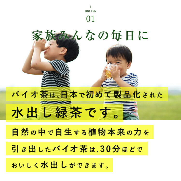 ［クーポン配布中］【送料無料】上水園 バイオ茶 60g（3g×20パック）× 1袋 水出し茶 ＜ネコポス対応 送料無料 無農薬 有機栽培 化学肥料不使用 一番茶 日本茶 カテキン ダイエット 水分補給 ギフト プチギフト 贈答 公式販売代理店＞ 3