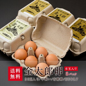 【送料無料】金太郎たまご 6玉入×5パック セット＜世界基準 有精卵 平飼い 有用微生物 最高級品位 産地直送 健康 那珂川市 地下水 送料無料 ギフト 国産 たまご 自然卵 縁起＞