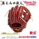 型付け無料　軟式グローブ 内野手用 内野用 ミズノプロ 高校野球 中学軟式野球 湯もみの鉄人ソフトボール 女子ソフト 野球部 部活 軟式野球 MizunoPro サイズ10 クリスマスプレゼント 新色