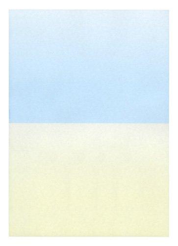 ミシン目入り用紙：A4 2分割／マイクロミシン目