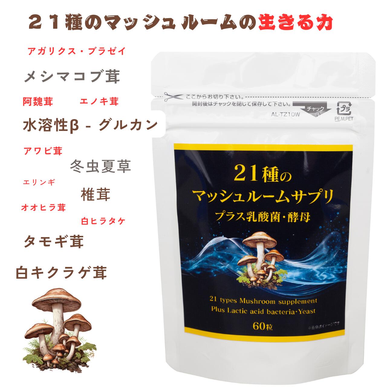 国産きのこ21種類×βグルカン×シイタケ菌糸体　タモギダケ きのこ習慣(1ヶ月分)|まいたけ マイタケ ヤマ..