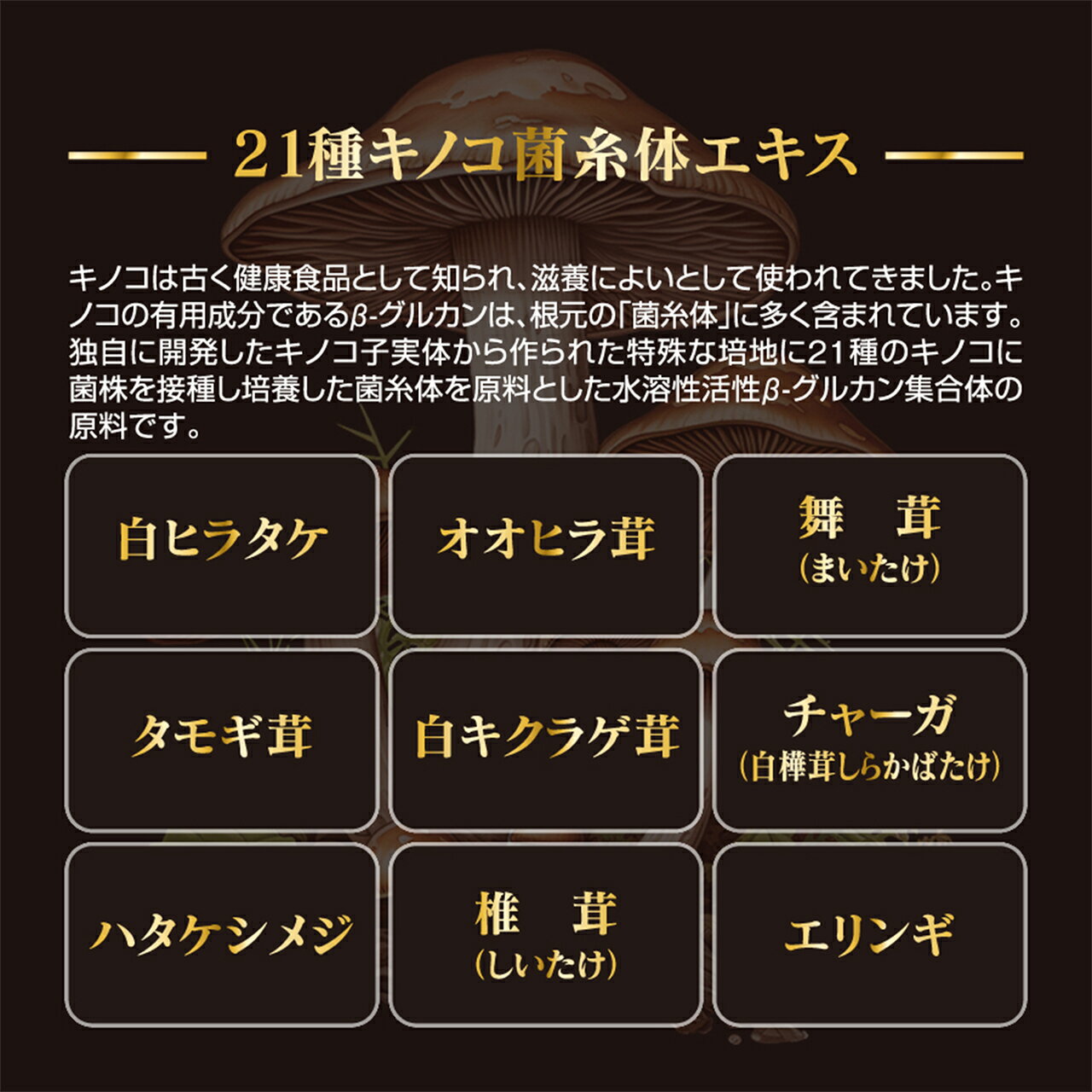 国産きのこ21種類×βグルカン×シイタケ菌糸体　タモギダケ きのこ習慣(1ヶ月分)|ま...