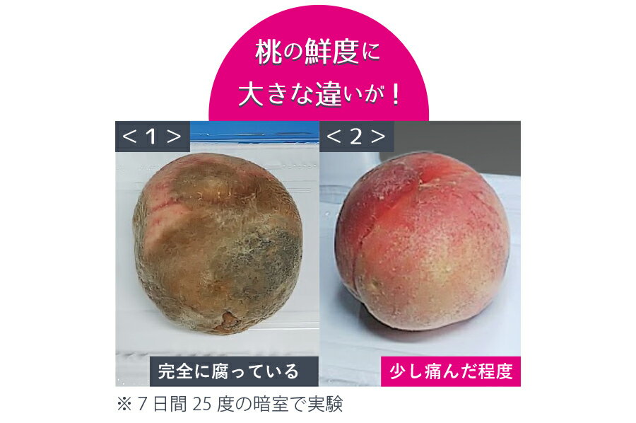 �ż��ȥ֥��å�����MAX mini ���ץ���󥻥å�