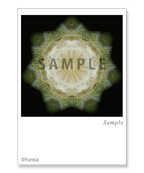 レスト オブ ザ シグナル ポストカード