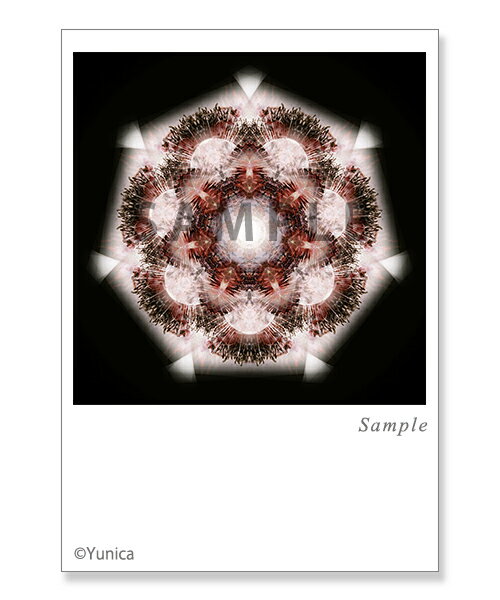 セブンス～強さ～ポストカード