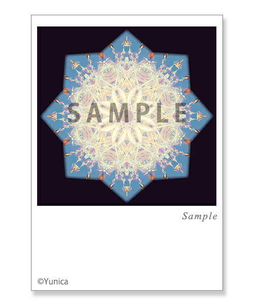 ハミングバード ポストカード