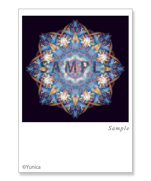 マイマイ ポストカード