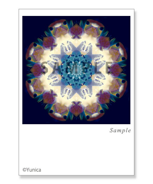 スタースパロウ　ポストカード