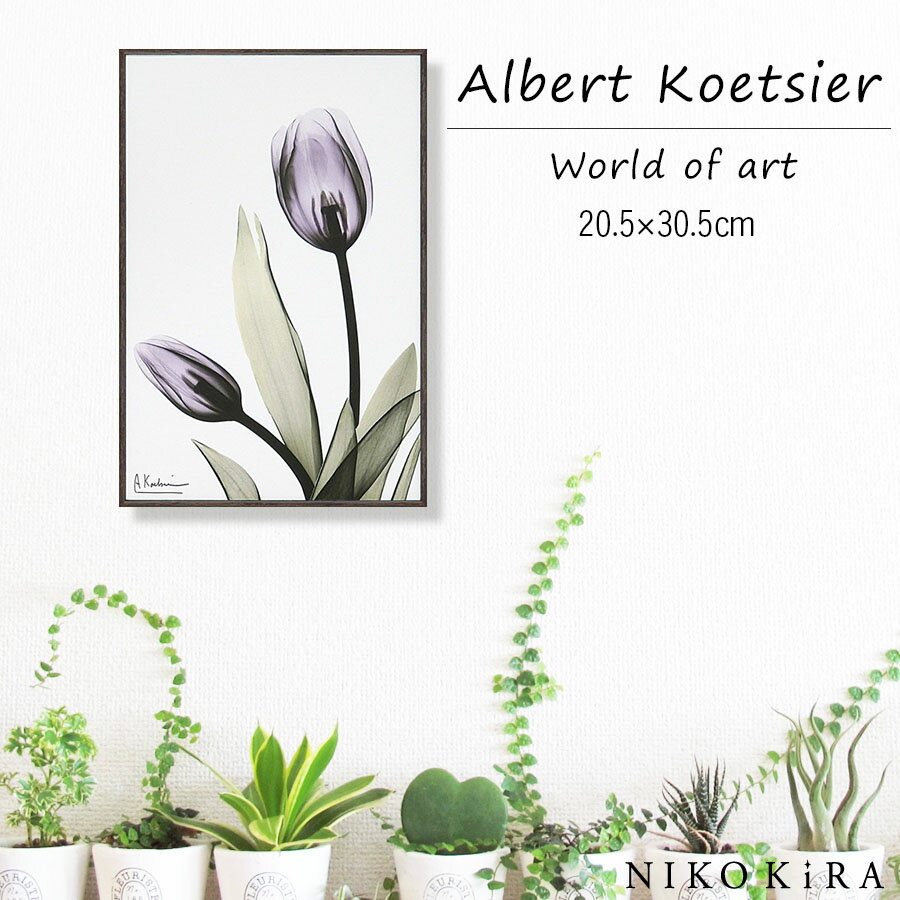 絵画 お花 花柄 植物 花 観葉植物 名画 アート 絵 壁掛け 額入り 風景画 油絵 おしゃれ RAY キャンバスアート チューリップ S 20.5 30.5cm ポスター アート アートパネル トイレ 開運 玄関 モダン アートフレーム