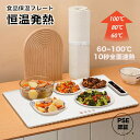 食品保温プレート シリコン製 電気保温トレイ ホットプレート PSE認証完了 食品用電気保温トレイ 折りたたみ式 多機能食品断熱ボード フードウォーマー 10秒急速加熱 60℃/80℃/100℃ 温度調節可お手入れも簡単 耐荷重5kg