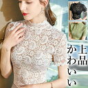 S-4XLサイズ 上品可愛い 重ね着 レースインナー 40代 50代 長袖レース ハイネック 首元レース 見せ襟 スタンドネック スタンドカラー 総レース 半袖 付け襟 レイヤード 大人可愛い 襟見せ お洒落 おしゃれ プチプラ 大きいサイズ 送料無料