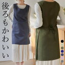 洋服感覚のエプロン 後ろも可愛くカバー くすみカラー シンプル可愛い エプロンワンピース 防水 ミドル丈 ポケット ゆったり ノースリーブ ワンピース ワンピースエプロン 重ね着 Aライン 韓国 フレア おしゃれ オシャレ 北欧風