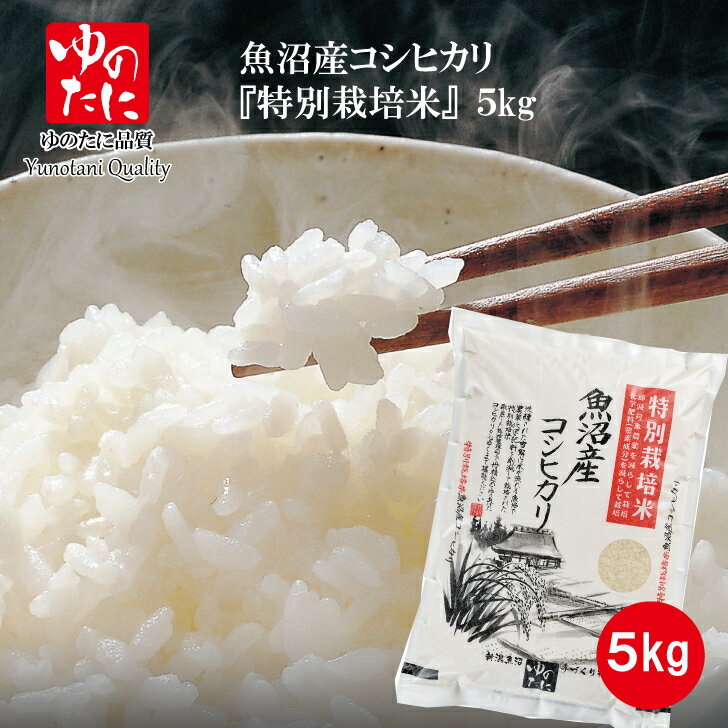 令和5年産 魚沼産コシヒカリ 特別栽培米 5kg 新潟 魚沼 精米 こしひかり 送料無料のサムネイル