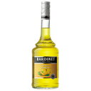 ꥭ塼롡Сǥ 졼  Хʡ 700ml (74666)liqueur ƥ(26-3)