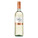ワイン テッレ アレグレ トレッビアーノ プーリア 白 750ml (E7531) wine(62-5)