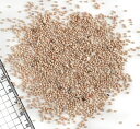 【貝殻パーツ】カラーサンド ナチュラル 500g <1個までゆうパケット配送可能>
