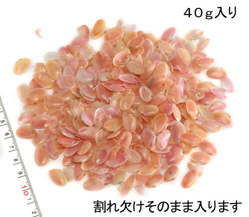 【小さな貝殻パーツ】サクラガイ 桜貝 さくら貝 割れ欠けそのままお得パック 40g【2個までゆうパケット可能】