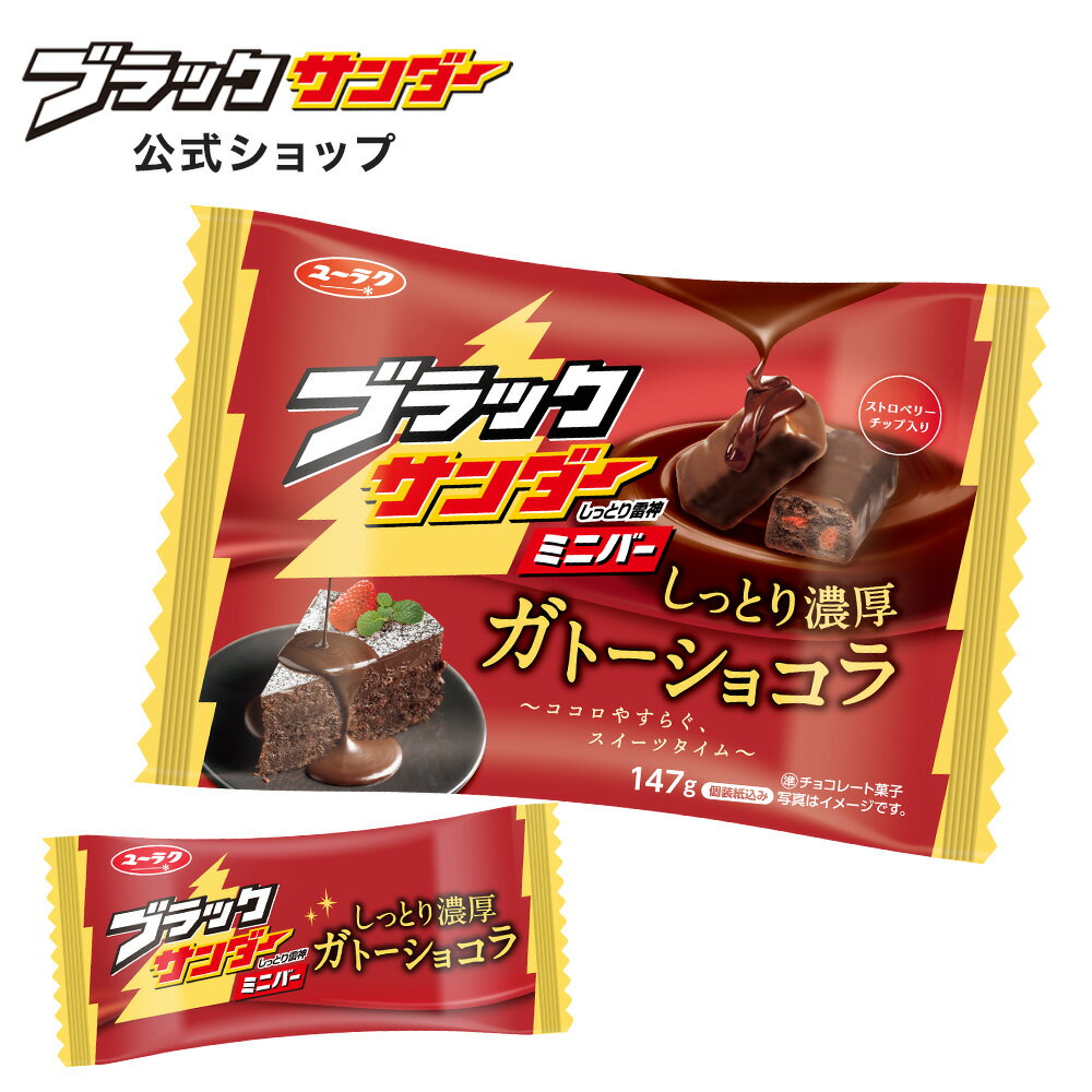   ブラックサンダー ミニバー ガトーショコラ ガトー チョコ チョコレート プチギフト プレゼント スイーツ お菓子 ギフト 個包装 ブラック サンダー 2024 挨拶ギフト 母の日 袋