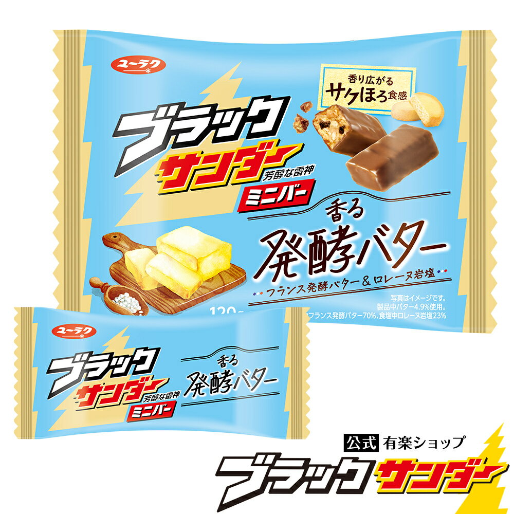 ブラックサンダーミニバー 香る発酵バター チョコ チョコレート プチギフト プレゼント スイーツ お菓子 ブラック サンダー 個包装 2024 母の日のサムネイル