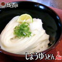 讃岐うどん 半生 まる旨うどん しょうゆうどん 1人前 つゆ付