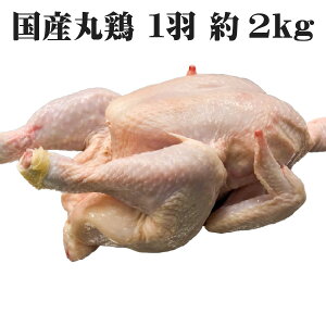 【送料無料】 国産若鶏 丸鶏 中抜き 約2kg(3〜4人前) ローストチキン 冷凍 お取り寄せ グルメ 肉の日 パーティー クリスマス バーベキュー