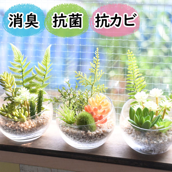 観葉 植物 玄関インテリア 置物 光触媒より便利な CT触媒フェイク