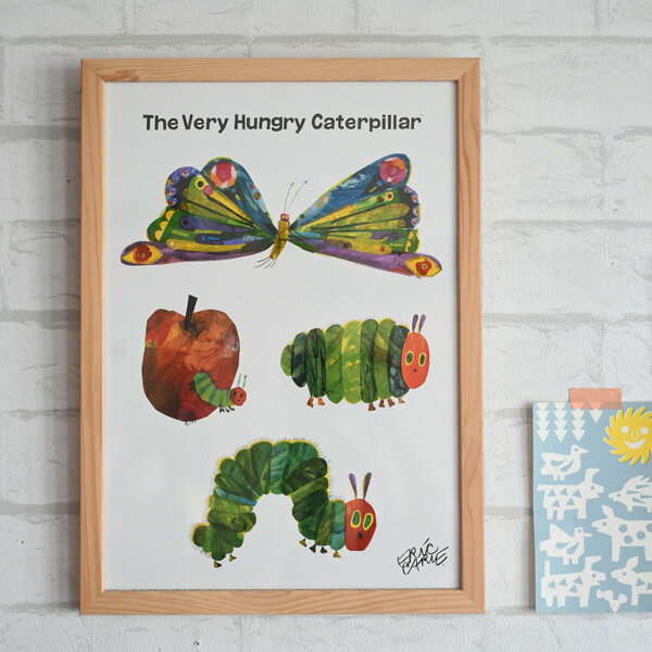 إȥե졼ࡡå롡Butterfly٥Хե饤 Ϥڤष ݥե졼 ȥݥ ե졼դ ̲ ...