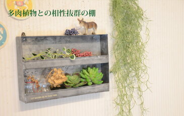 『ティン2ステップウォールシェルフ』(プランター/壁掛け/棚/飾り棚/シェルフ/収納/おしゃれ/アイアン/インテリア/ウォールシェルフ/賃貸/取り付け/画鋲/石膏ボード/アンティーク/ガーデニング/ジャンク)
