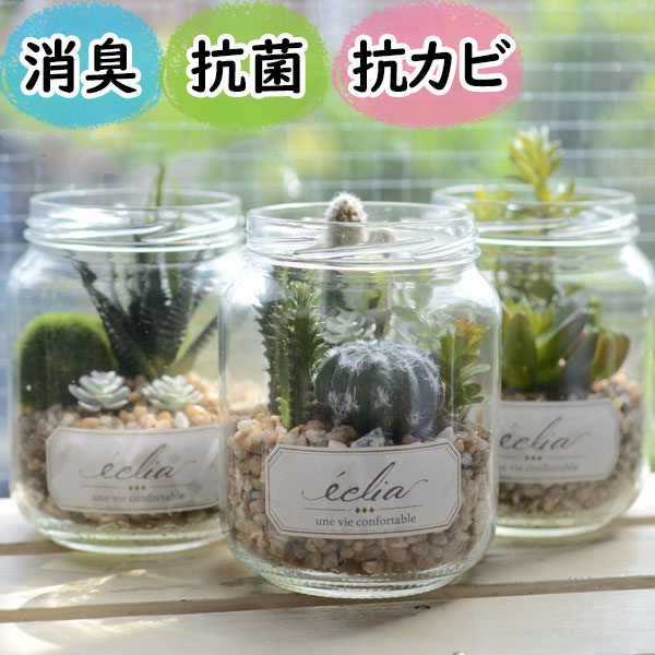 ミニ観葉植物 光触媒より便利な『CT触媒フェイクグリーン エクリア』（ 卓上 ミニ 消臭 空気清浄 防臭 防汚 抗菌 おしゃれ リアル インテリア ガラス瓶 多肉植物 寄せ植え トイレ 玄関 造花 人工観葉植物 置物 アーティフィシャルグリーン プレゼント おすすめ )