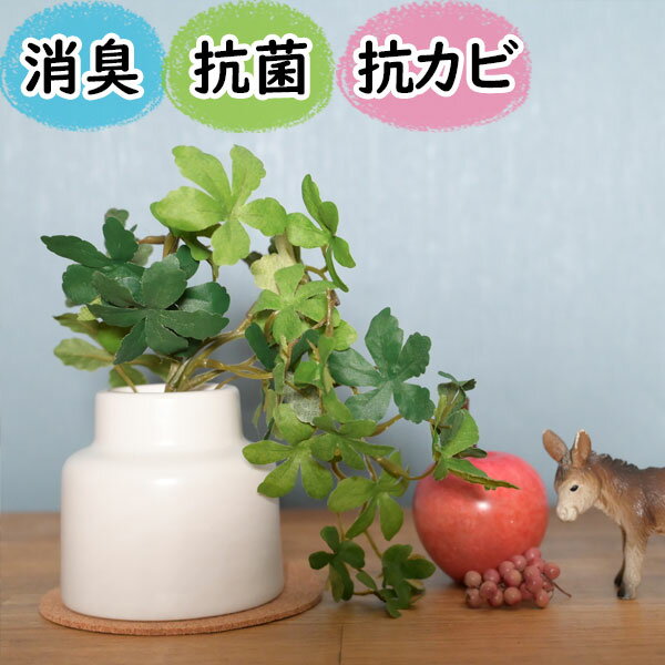 乐天商城 - 光触媒より便利な『CT触媒フェイクグリーン　シュガーバイン陶器ポット入りSサイズ 』 卓上 ミニ 消臭 空気清浄 防臭 防汚 抗菌 おしゃれ リアル インテリア 鉢 ポット トイレ 玄関 造花 置物 人工観葉植物 アーティフィシャルグリーン プレゼント おすすめ