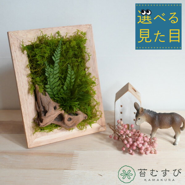 乐天商城 - 選べる見た目『 クラフトモス アートフレーム』苔 苔パネル 苔フレーム アートフレーム アート 置き型 スタンド 植物 プリザーブド加工 ナチュラル インテリア ディスプレイ 飾り おしゃれ かっこいい 消臭 流木 木製 新築祝い 開店祝い プレゼント